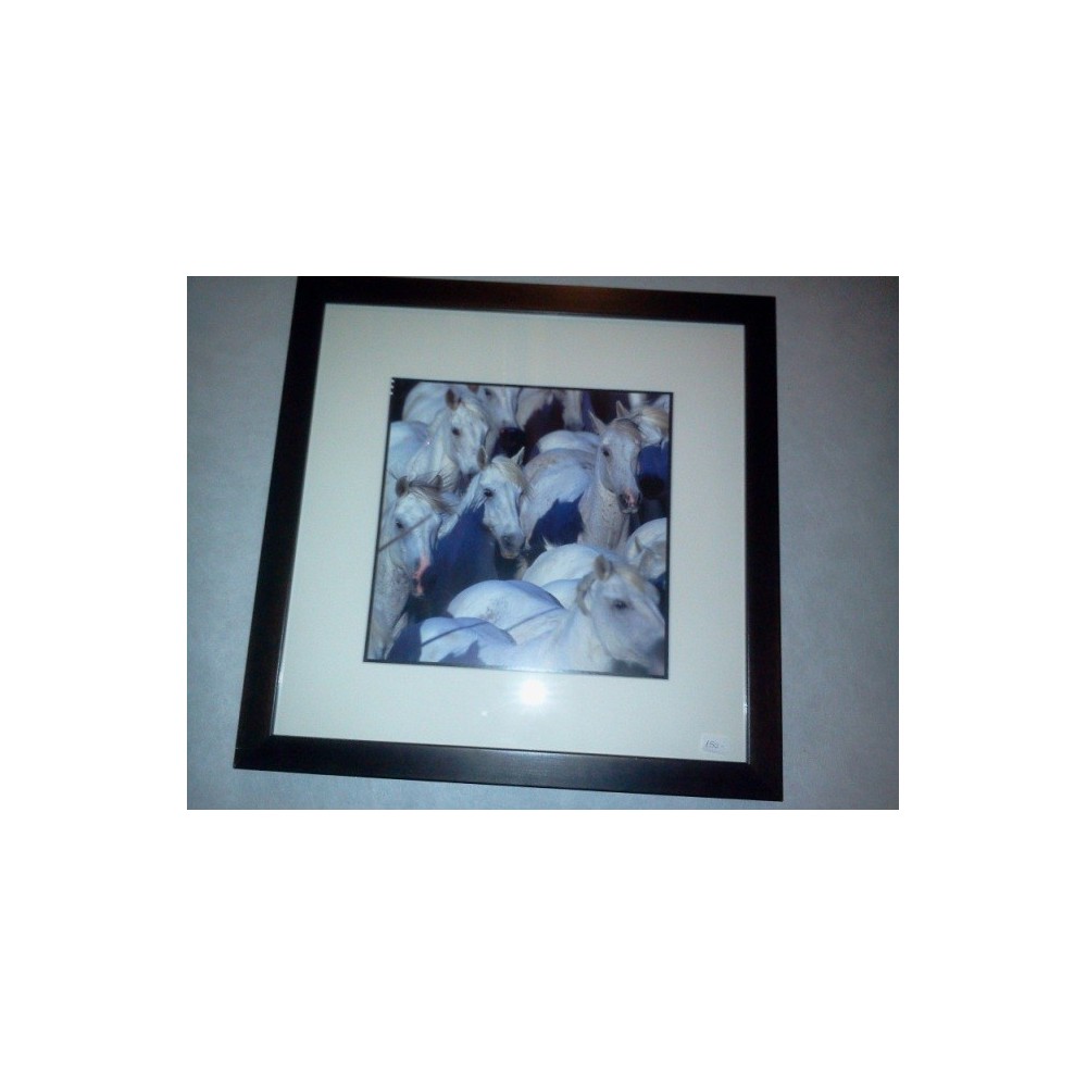 Tableau avec chevaux de face 39x39 cm