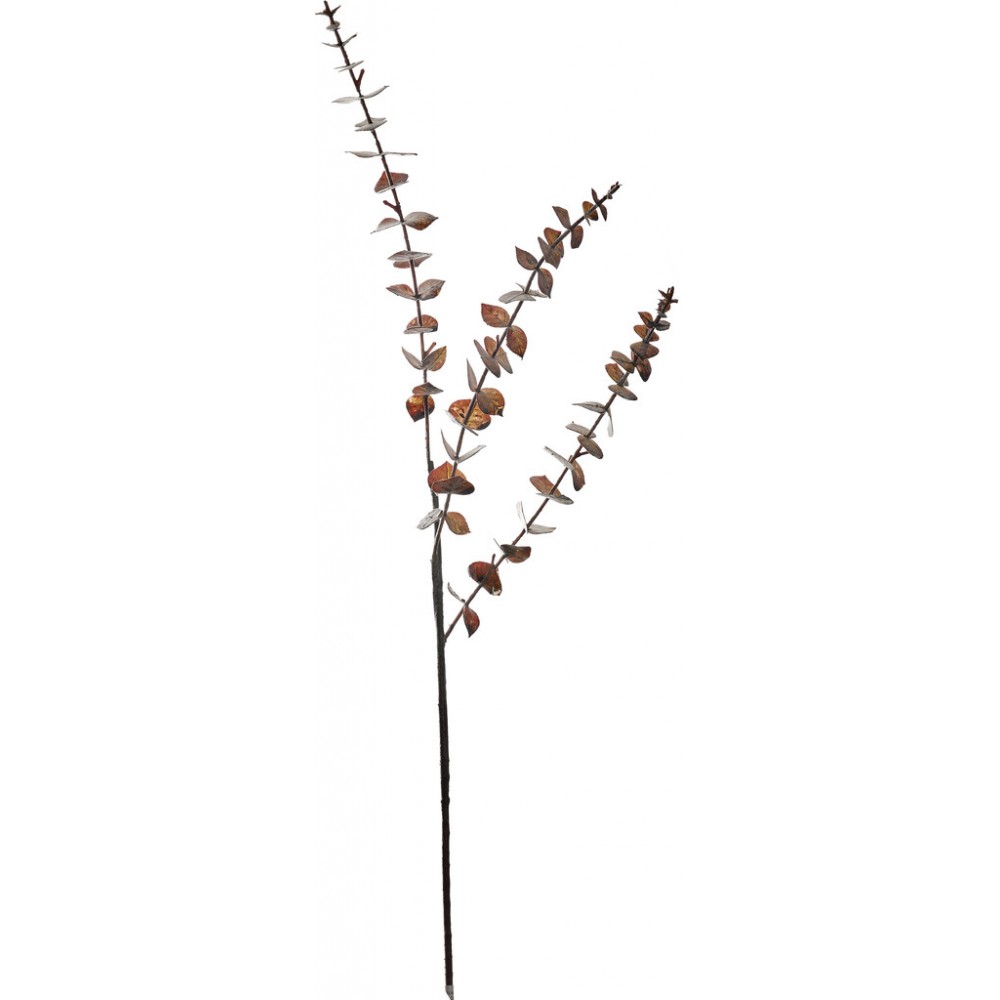 Greenspray Eucalyptus Brown