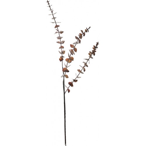 Greenspray Eucalyptus Brown