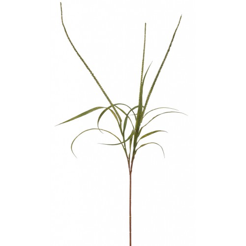 Sea Arrowgrass Stem - Green