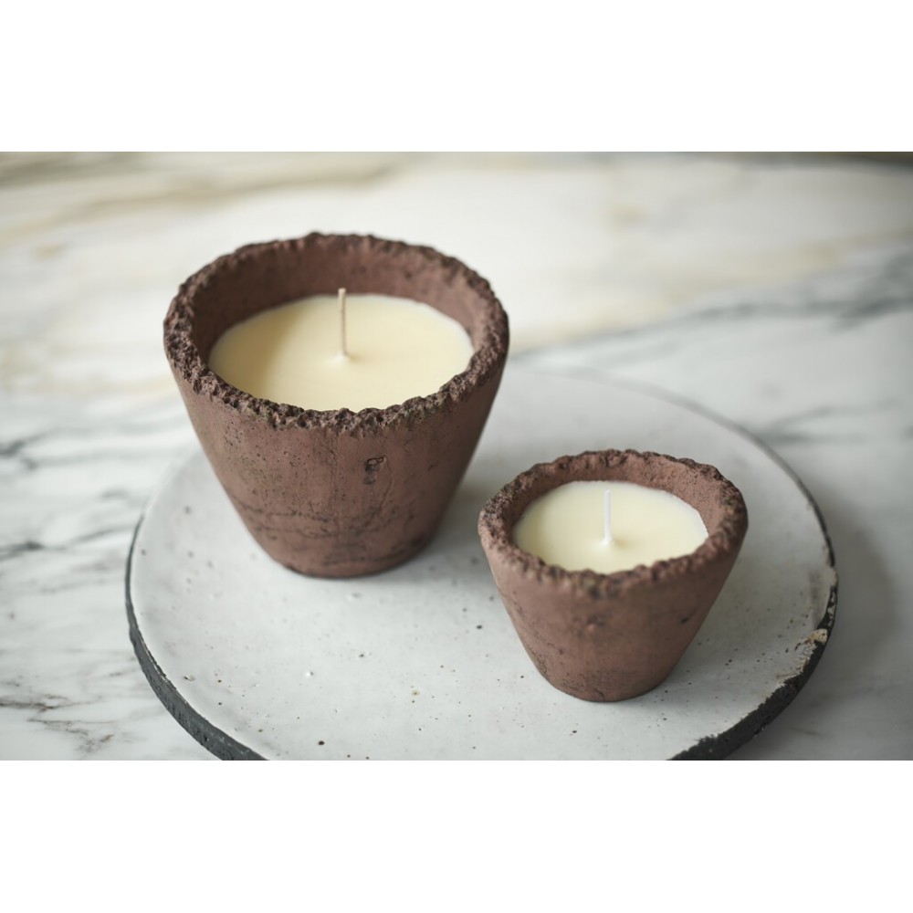 The Kitchen Garden - Large