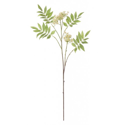Rowan Blossom Stem - White