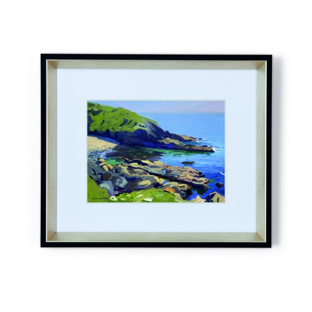 Seascape - Seals and turquoise water, Roseland Peninsula