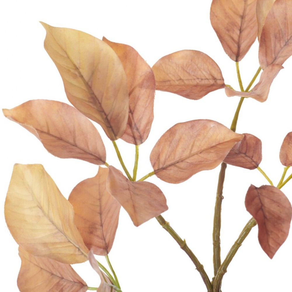 Beech Spray - Burnt Orange