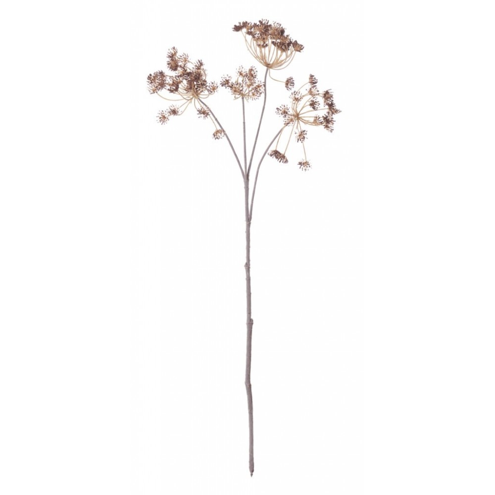 Queen Anne's Lace Stem - Russet
