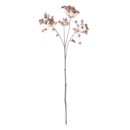 Queen Anne's Lace Stem - Russet