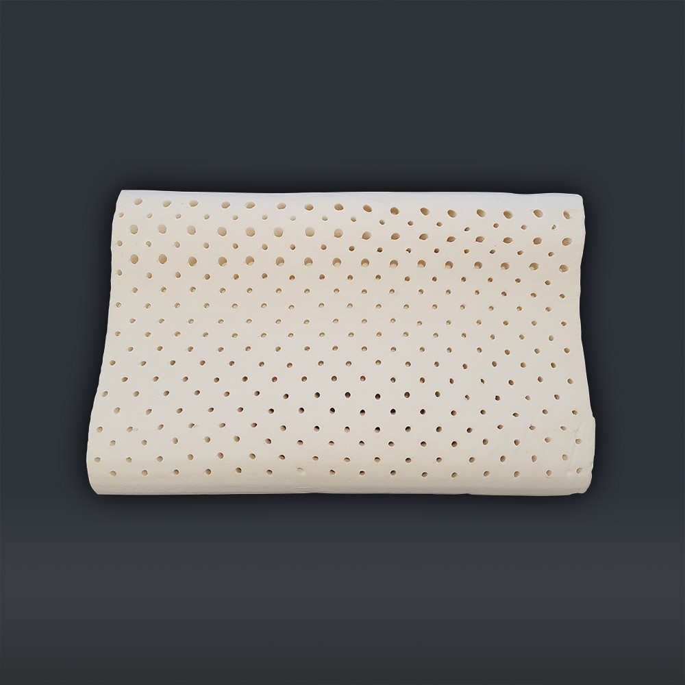Interieur Coussin Biosense Ergonat latex 60 x 40 cm